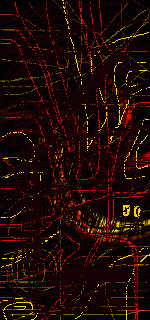 � 1999 Lia Maier Rowell